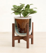 Load image into Gallery viewer, Natural Bamboo stand:walnut