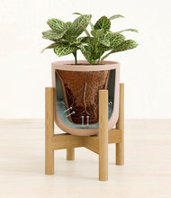 Load image into Gallery viewer, Sandy Pink stand:bamboo