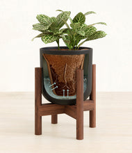 Load image into Gallery viewer, Stone Black stand:walnut