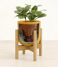 Load image into Gallery viewer, Sunset Orange stand:bamboo