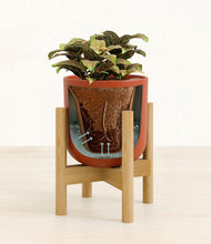 Load image into Gallery viewer, Earth Red stand:bamboo