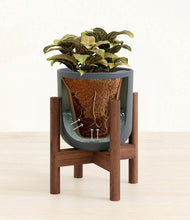 Load image into Gallery viewer, Iron Gray stand:walnut