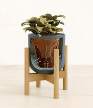 Load image into Gallery viewer, Iron Gray stand:bamboo