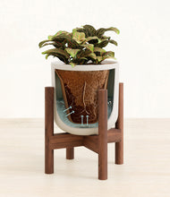 Load image into Gallery viewer, Natural Bamboo stand:walnut