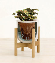 Load image into Gallery viewer, Natural Bamboo stand:bamboo