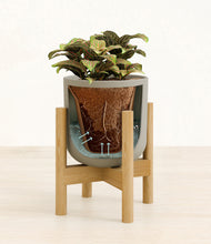 Load image into Gallery viewer, Sage Green stand:bamboo