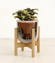 Load image into Gallery viewer, Sandy Pink stand:bamboo