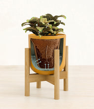 Load image into Gallery viewer, Sunset Orange stand:bamboo