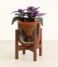 Load image into Gallery viewer, Earth Red stand:walnut