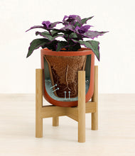 Load image into Gallery viewer, Earth Red stand:bamboo