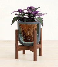 Load image into Gallery viewer, Iron Gray stand:walnut