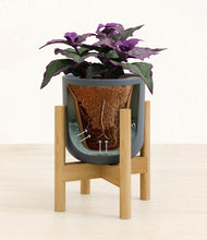 Load image into Gallery viewer, Iron Gray stand:bamboo