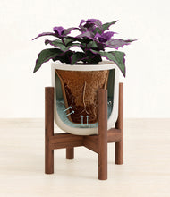 Load image into Gallery viewer, Natural Bamboo stand:walnut