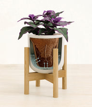 Load image into Gallery viewer, Natural Bamboo stand:bamboo