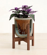 Load image into Gallery viewer, Sage Green stand:walnut