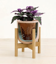 Load image into Gallery viewer, Sandy Pink stand:bamboo