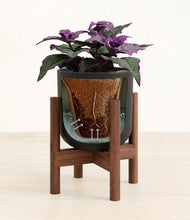 Load image into Gallery viewer, Stone Black stand:walnut