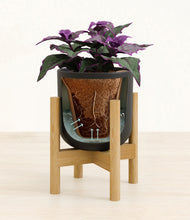 Load image into Gallery viewer, Stone Black stand:bamboo