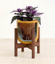 Load image into Gallery viewer, Sunset Orange stand:walnut