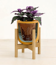 Load image into Gallery viewer, Sunset Orange stand:bamboo