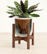 Load image into Gallery viewer, Natural Bamboo stand:walnut