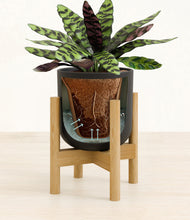 Load image into Gallery viewer, Stone Black stand:bamboo