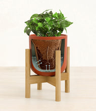 Load image into Gallery viewer, Earth Red stand:bamboo