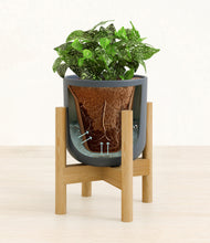 Load image into Gallery viewer, Iron Gray stand:bamboo