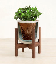Load image into Gallery viewer, Natural Bamboo stand:walnut
