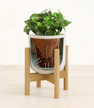 Load image into Gallery viewer, Natural Bamboo stand:bamboo