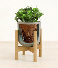 Load image into Gallery viewer, Sage Green stand:bamboo