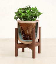 Load image into Gallery viewer, Sandy Pink stand:walnut