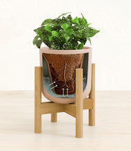 Load image into Gallery viewer, Sandy Pink stand:bamboo