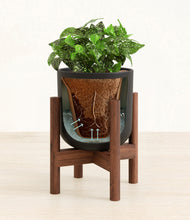 Load image into Gallery viewer, Stone Black stand:walnut