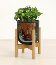 Load image into Gallery viewer, Stone Black stand:bamboo