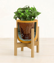 Load image into Gallery viewer, Sunset Orange stand:bamboo