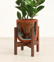 Load image into Gallery viewer, Earth Red stand:walnut