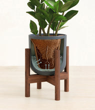 Load image into Gallery viewer, Iron Gray stand:walnut