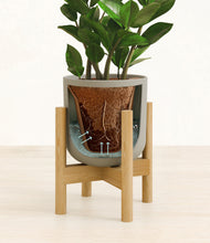 Load image into Gallery viewer, Sage Green stand:bamboo