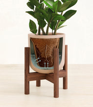 Load image into Gallery viewer, Sandy Pink stand:walnut
