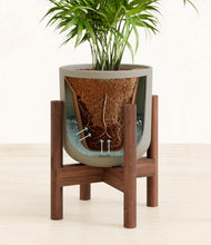 Load image into Gallery viewer, Sage Green stand:walnut