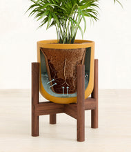 Load image into Gallery viewer, Sunset Orange stand:walnut