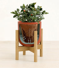 Load image into Gallery viewer, Earth Red stand:bamboo
