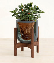 Load image into Gallery viewer, Iron Gray stand:walnut