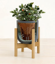 Load image into Gallery viewer, Iron Gray stand:bamboo