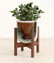 Load image into Gallery viewer, Natural Bamboo stand:walnut
