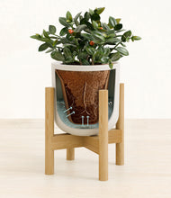 Load image into Gallery viewer, Natural Bamboo stand:bamboo