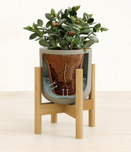 Load image into Gallery viewer, Sage Green stand:bamboo