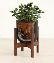 Load image into Gallery viewer, Stone Black stand:walnut