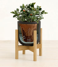 Load image into Gallery viewer, Stone Black stand:bamboo